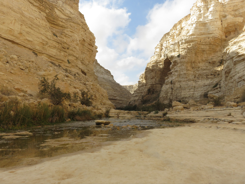 A photo of Drylands in Israel